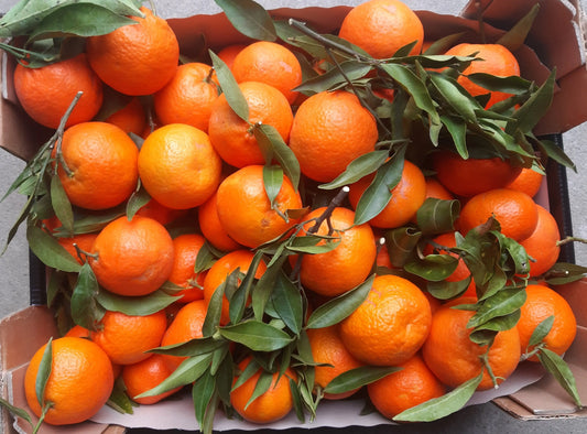 Caissette* 7kg Clémentines de Sicile sans pépins ''Non traités''(Disponibilité: Novembre à Janvier) Les Saveurs de Sicile