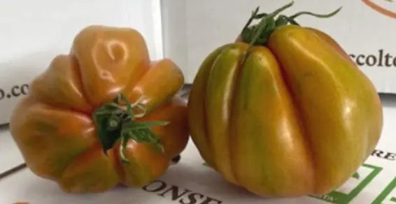 Caissette 6kg selon taille Tomates Coeur de Boeuf Siciliennes (Disponibilité: novembre à mars) Les Saveurs de Sicile