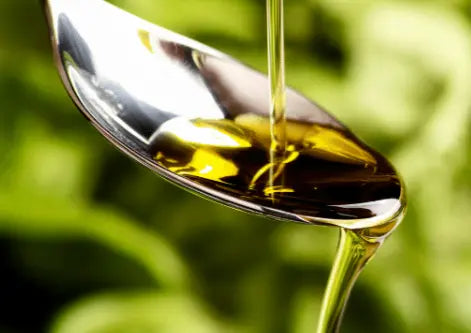 Huile Extra vierge d'olive de Sicile, Contenant 5LT Les Saveurs de Sicile