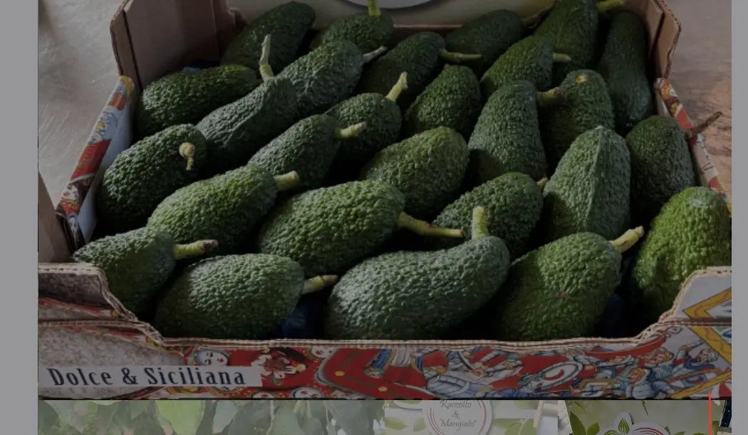 Caissette env. 5kg (16x pces) Avocat Hass grande taille cultivation Sicilienne (Disponibilité: novembre à mars) Les Saveurs de Sicile