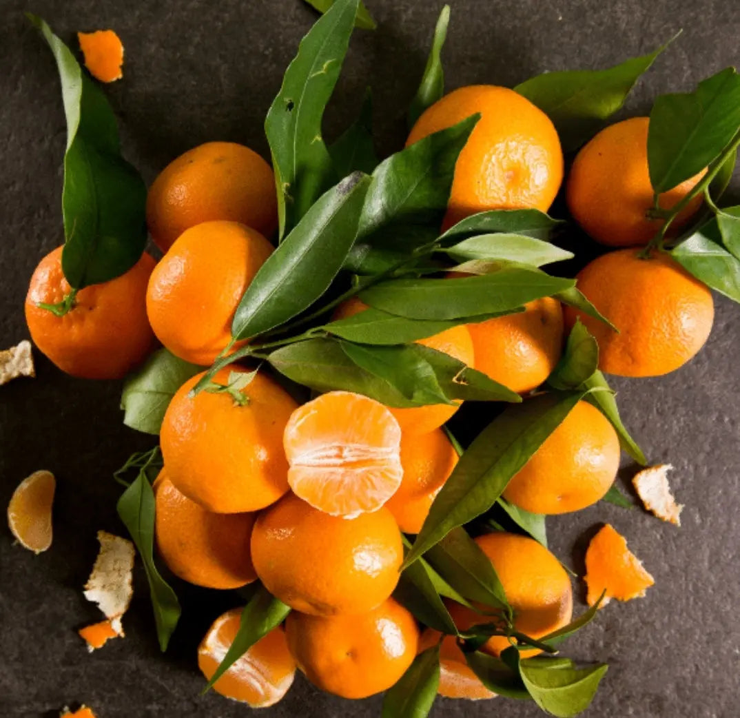 Caissette 7kg Mandarines nouvelle variété de Sicile sans pépins ''Non traités''(Disponibilité: Janvier à Mars) Les Saveurs de Sicile