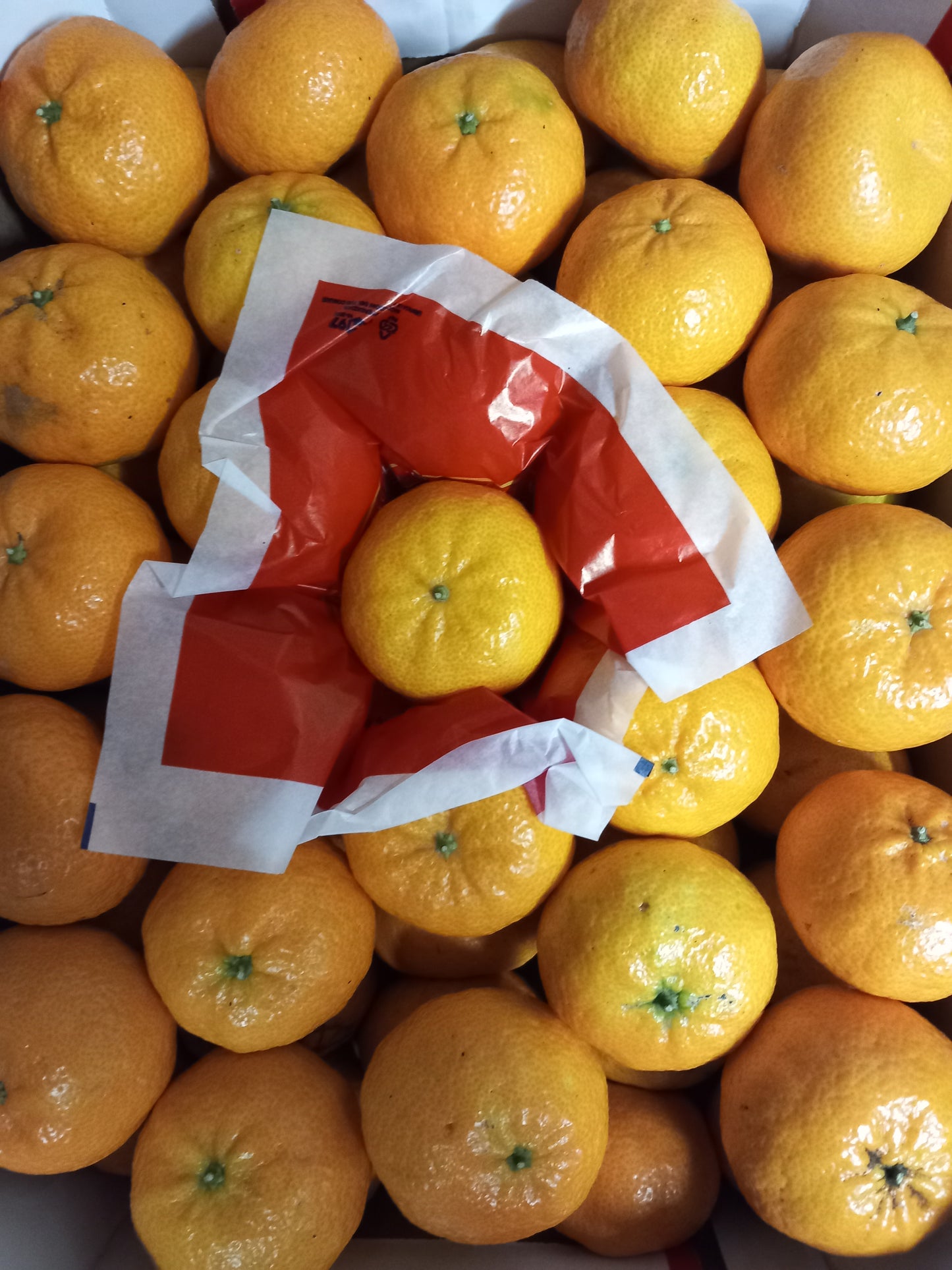 Caissette Mandarines Nova juteuses et sucrées sans pépins 7kg (4,00Frs/kg) ''Non traités''(Disponibilité: Février à Mars)