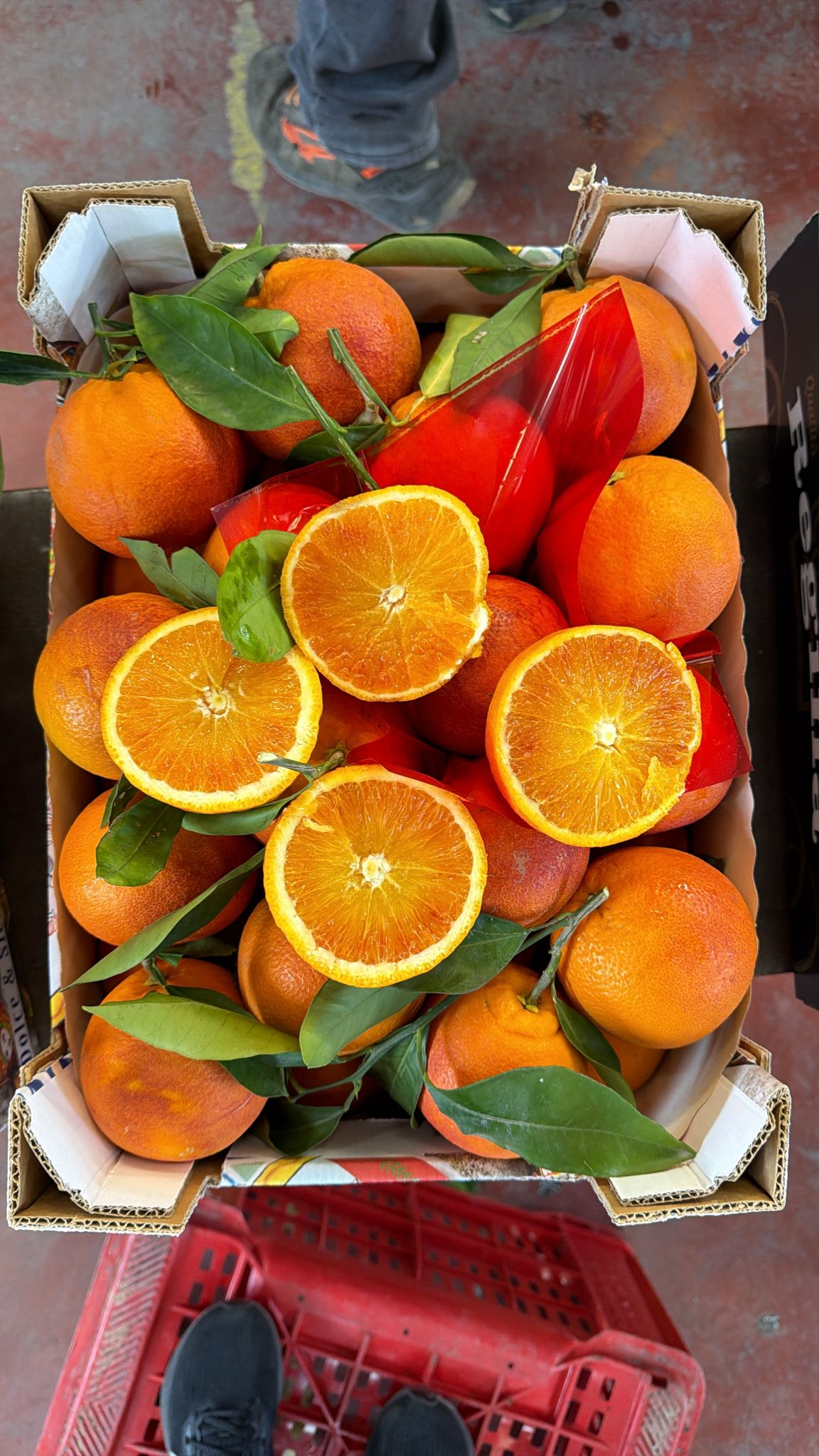 Caissette Oranges Tarocco Lempso semi-sanguines de Sicile 7kg (4,30Frs/kg) ''Non traités''(Cultivation: Février à Mars)