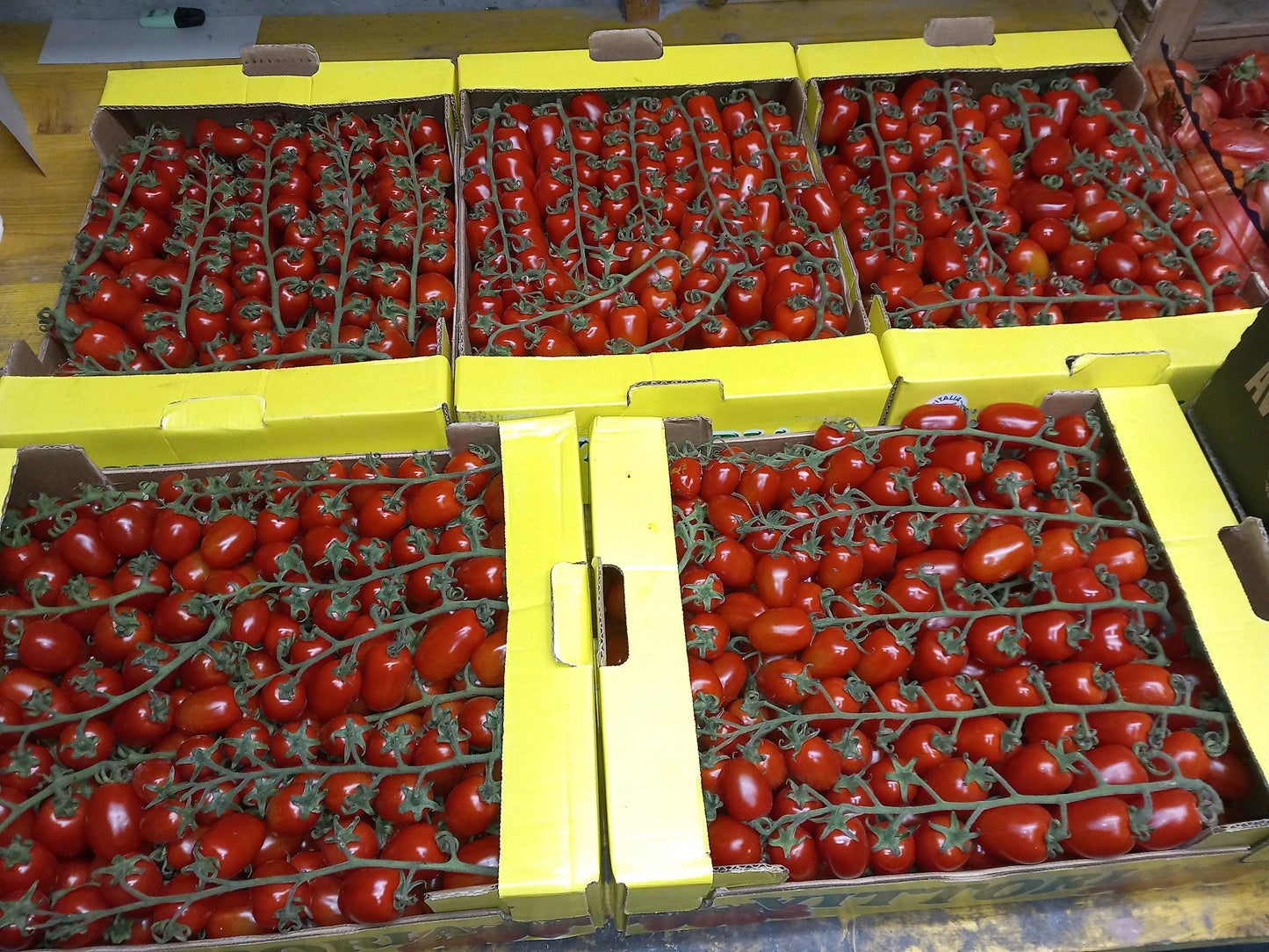 Caissettes 6 kg Tomates Datterino siciliennes en grappe( Disponibilité: novembre à mars) Les Saveurs de Sicile