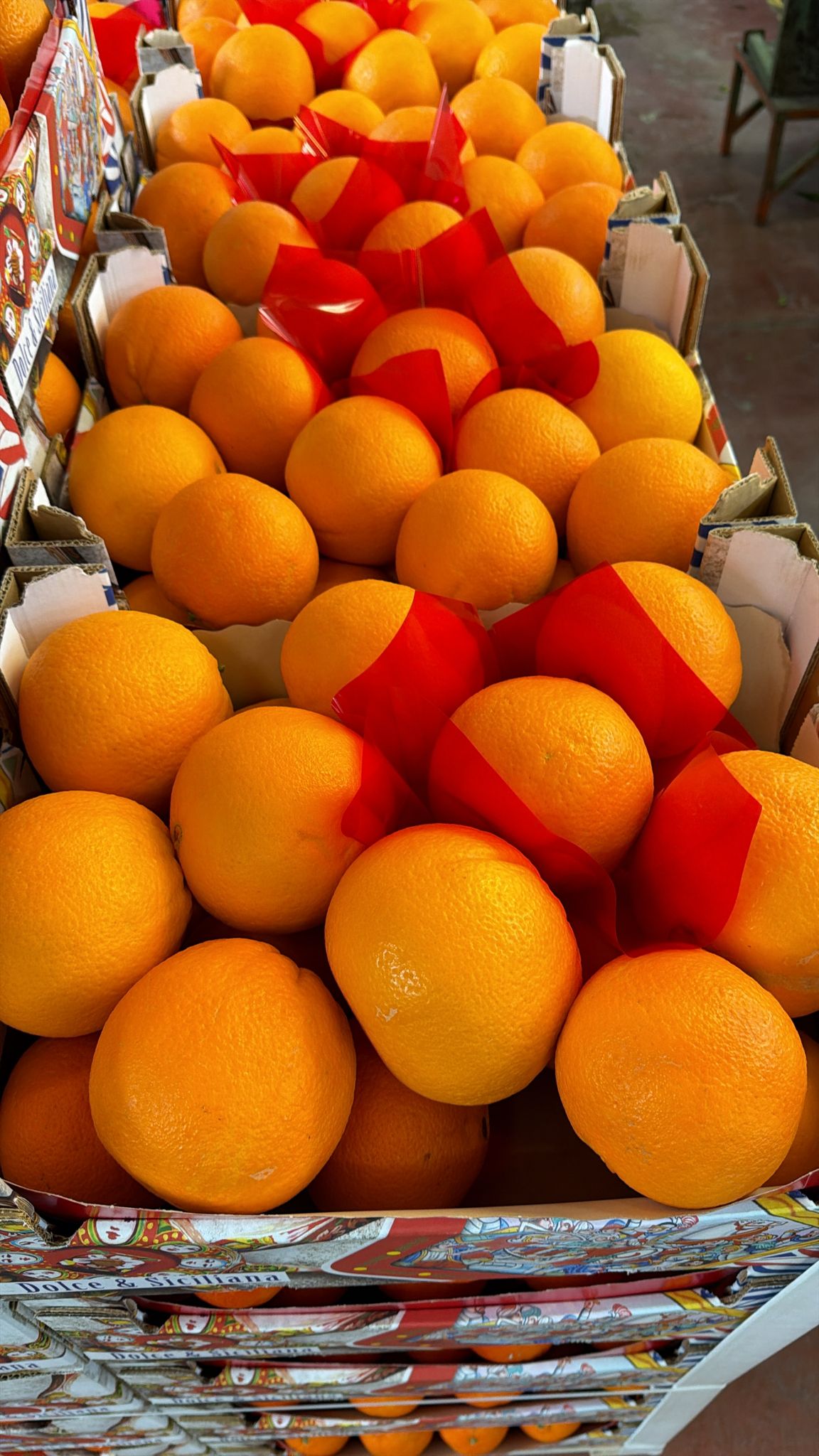 Oranges Tarocco Gallo semi-sanguines de Sicile 3.5kg ''Non traités''(Cultivation: Décembre à Janvier)