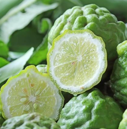 Caissette Bergamote de Palagonia  7kg (4,00Frs/kg) ''Non Traités'' (Disponibilité:Novembre à Février)