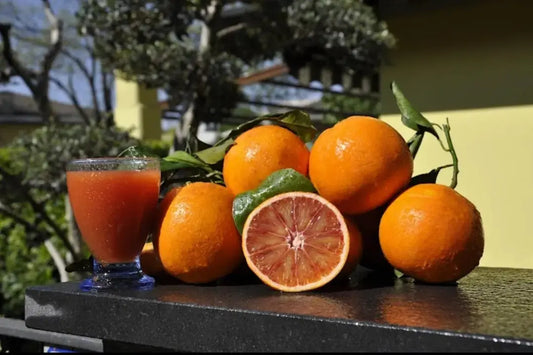 Caissette 7kg mixte de Sicile oranges Tarocco semi-sanguines ou Navel blondes et clémentines ou mandarines sans pépins ''Non traités'' (selon période) Les Saveurs de Sicile
