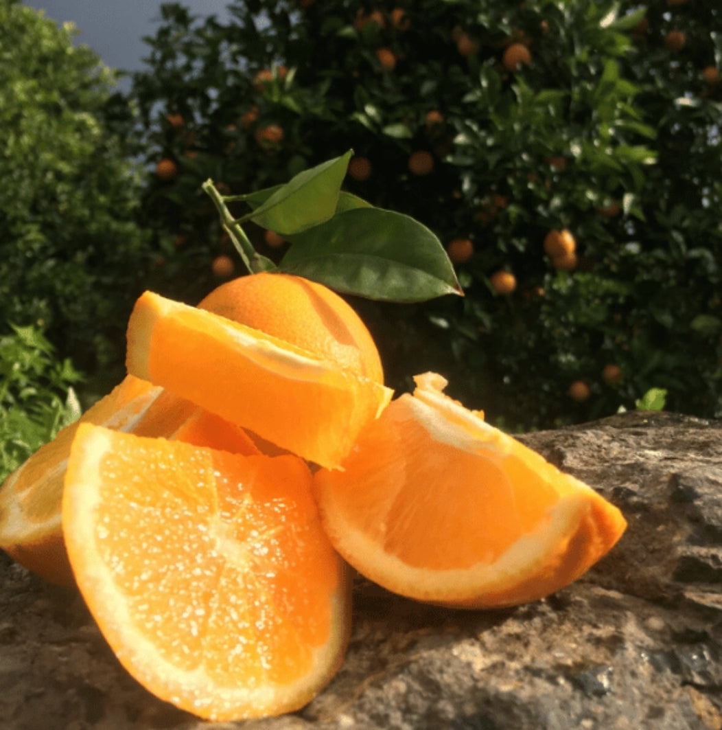 Caissette Oranges Blondes Navel 7kg (4,00Frs/kg) ''Non traités''(Cultivation: Novembre à Décembre)