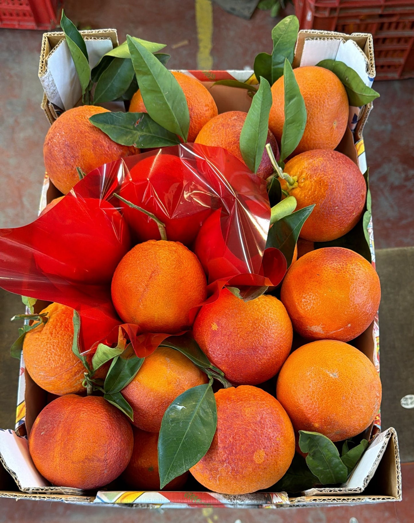 Caissette Oranges Tarocco Lempso semi-sanguines de Sicile 7kg (4,30Frs/kg) ''Non traités''(Cultivation: Février à Mars)