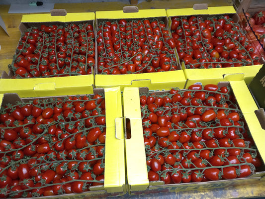 Caissettes 6 kg Tomates Datterino siciliennes en grappe( Disponibilité: novembre à mars) Les Saveurs de Sicile