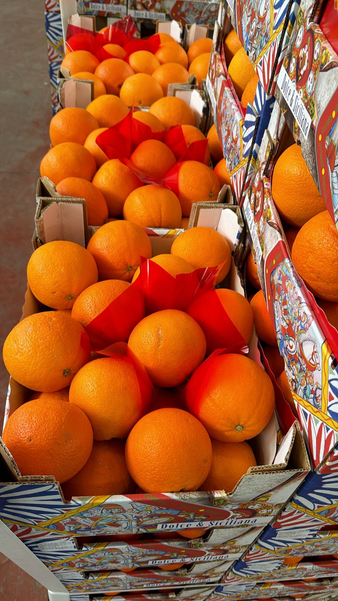 Oranges Tarocco Gallo semi-sanguines de Sicile 3.5kg ''Non traités''(Cultivation: Décembre à Janvier)